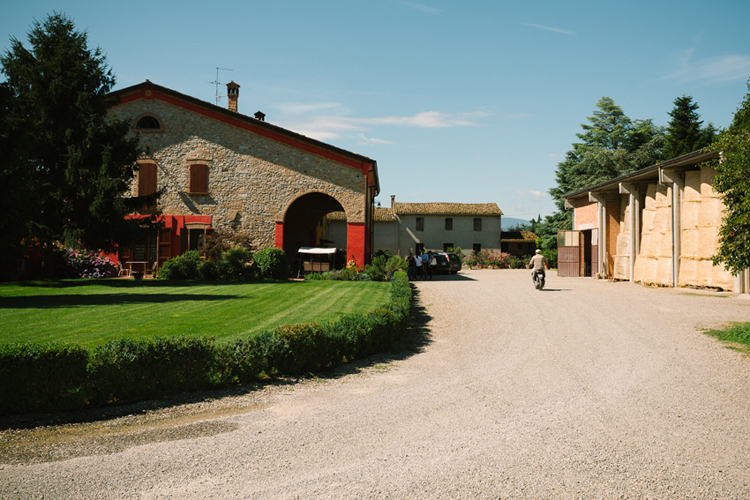 Casa Felina